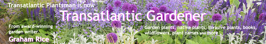 Checkout Graham Rice's Transatlantic Gardener blog