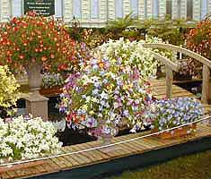 Three Counties Nursery